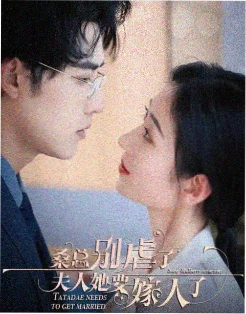 长风渡古装电视剧在线观看